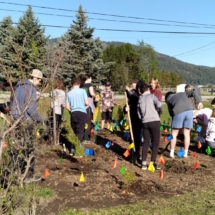 20240422_planting_1
