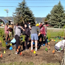 20240422_planting_2