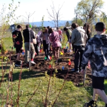 20240422_planting_3